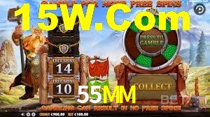 Tournaments 55MM